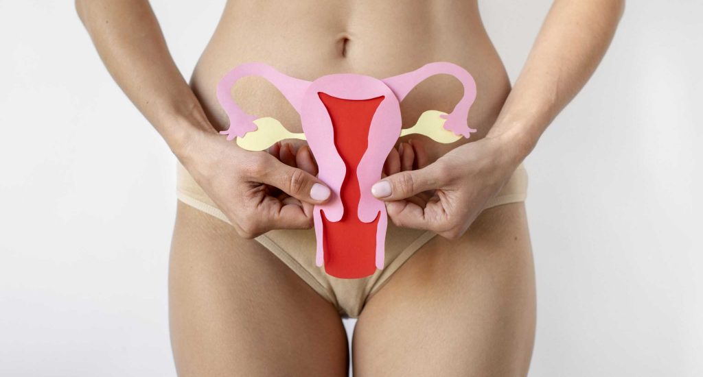 paper-ovary-held-by-woman-near-her-reproductive-system